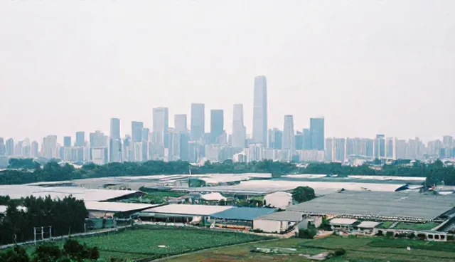 企业名录查询：处理方法与应用场景分析